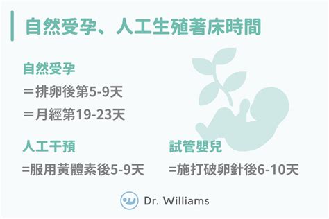 著床位置偏高|著床成功症狀有哪些？7種常見著床症狀、7個著床失敗。